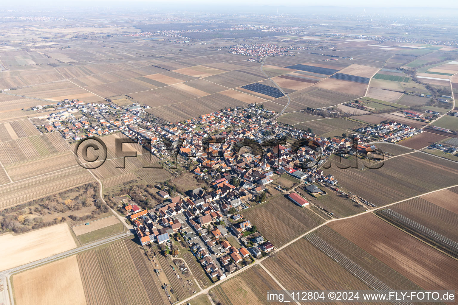 Gönnheim in the state Rhineland-Palatinate, Germany from the plane