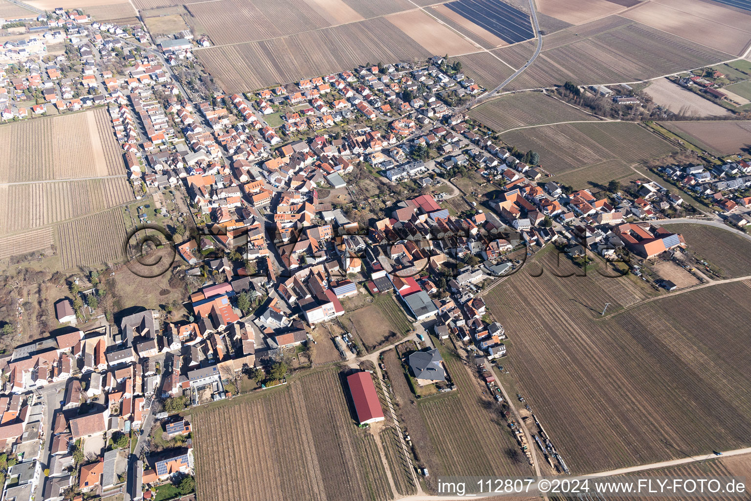 Drone recording of Gönnheim in the state Rhineland-Palatinate, Germany