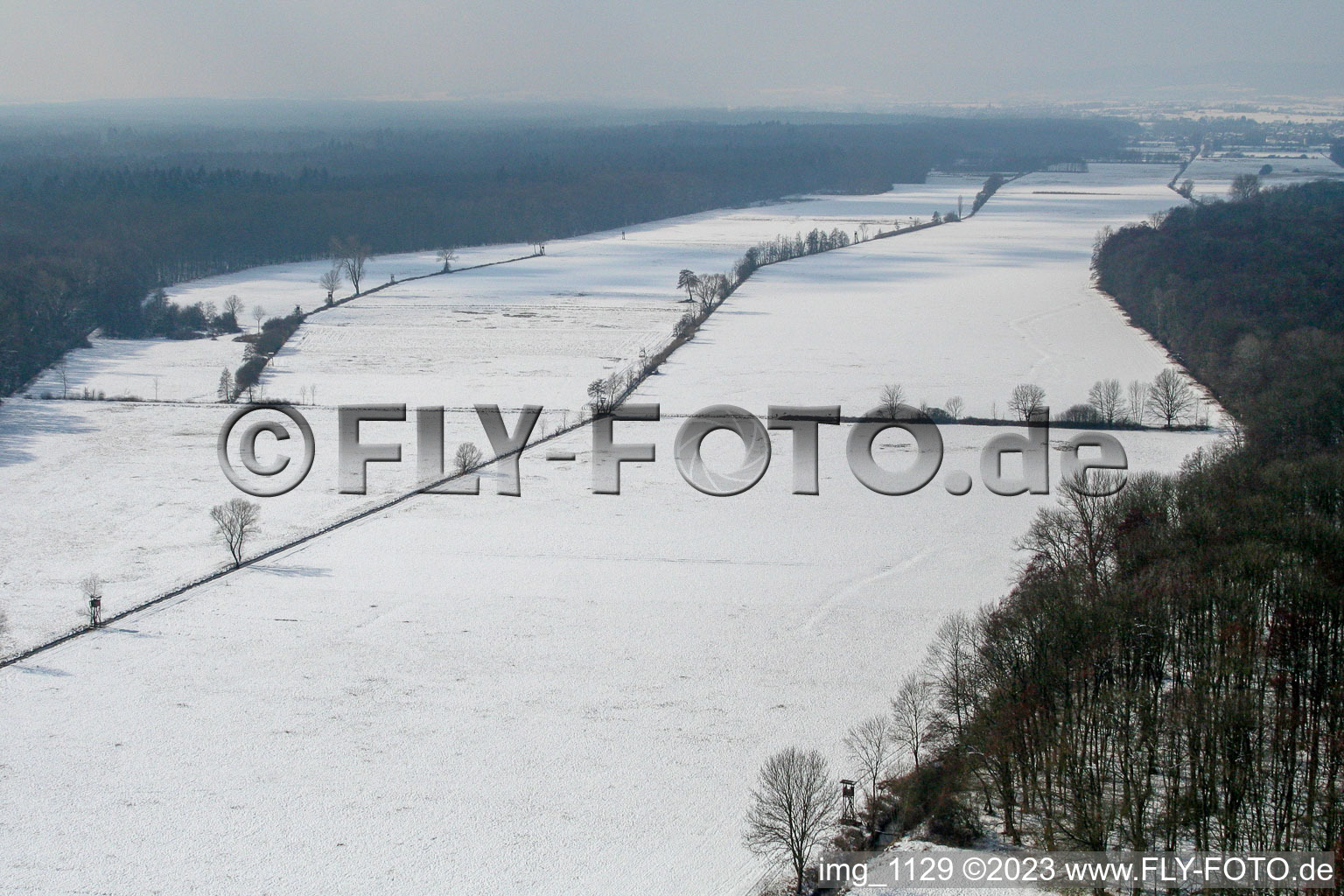 Aerial view of Winter Bienwald in Kandel in the state Rhineland-Palatinate, Germany