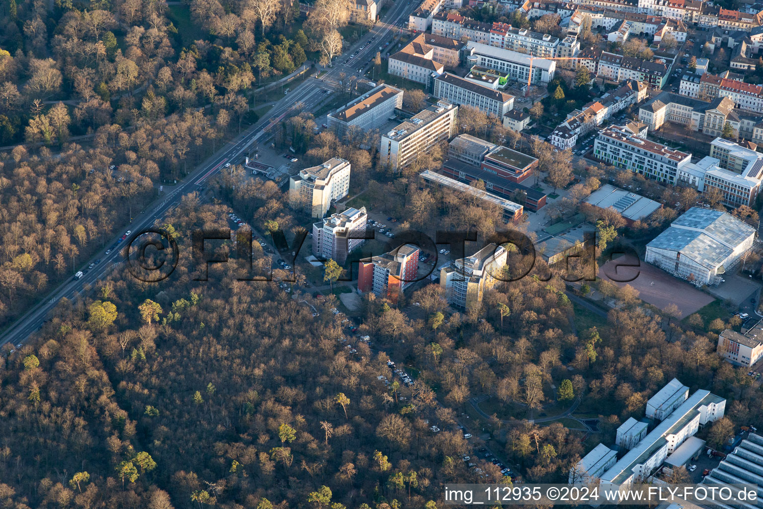 Domus 7, Reinhold Schneider House, Hermann Ehlers College in the district Innenstadt-West in Karlsruhe in the state Baden-Wuerttemberg, Germany