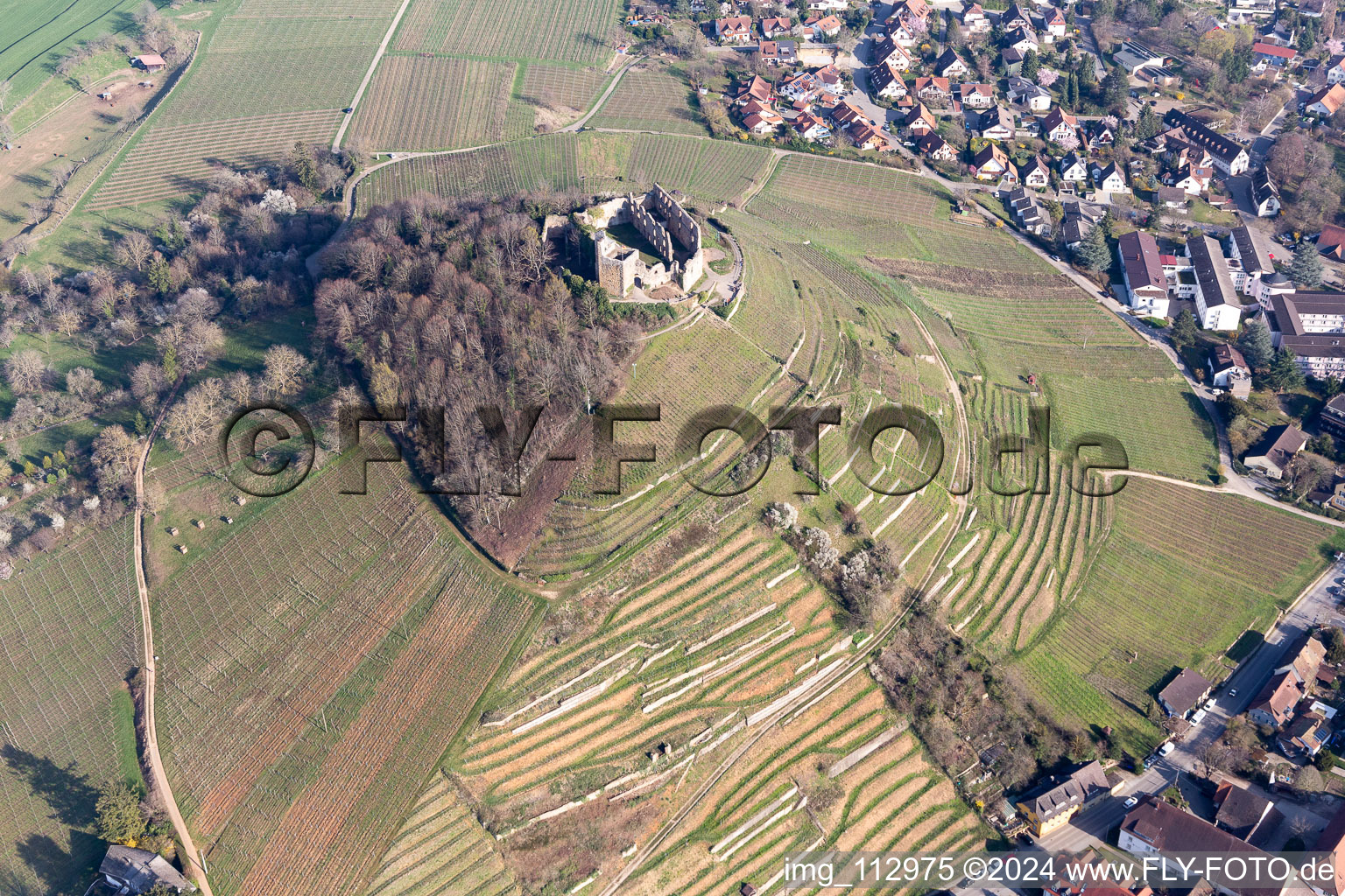 Aerial view of Staufen Castle Ruins in Staufen im Breisgau in the state Baden-Wuerttemberg, Germany