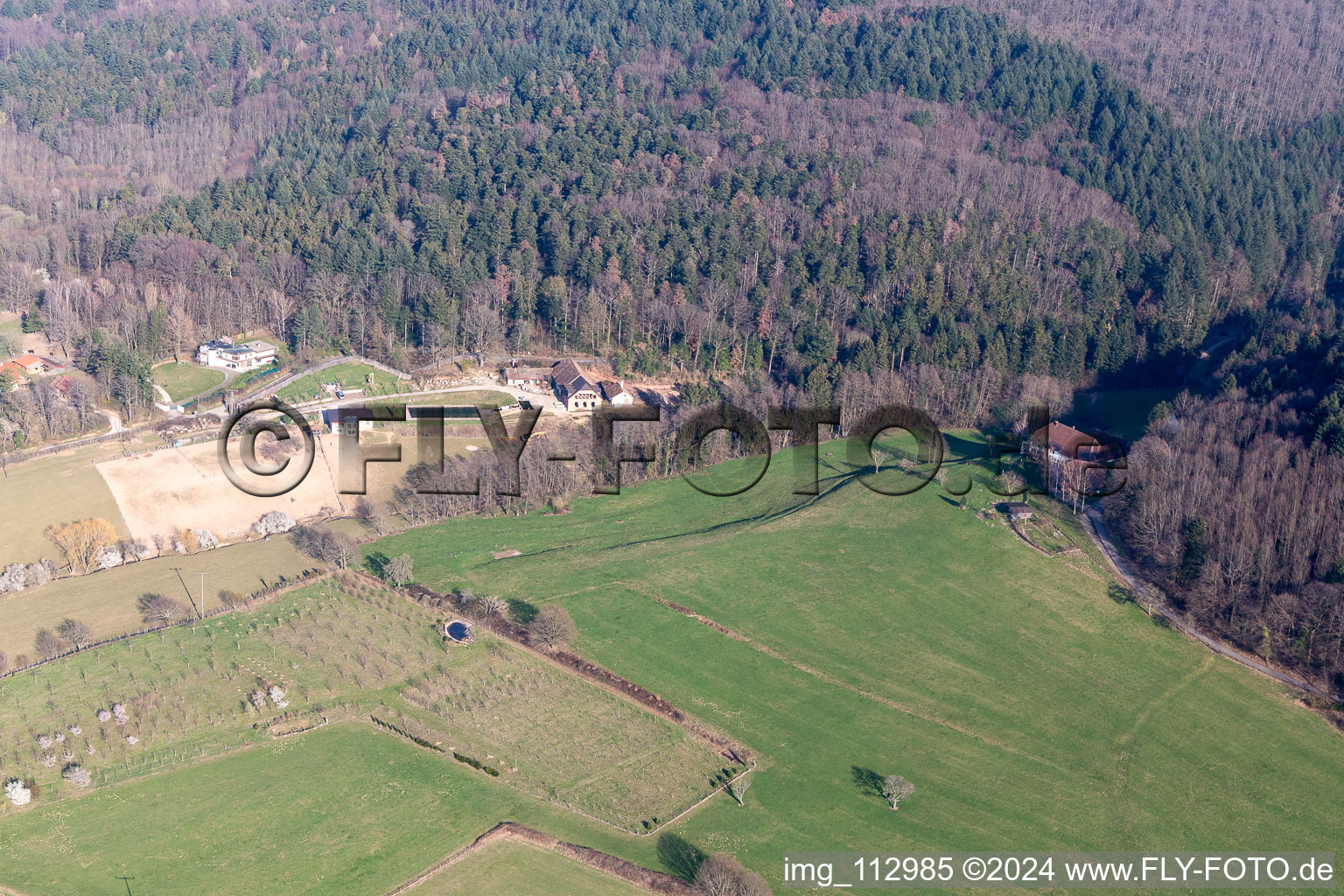 Oblique view of Staufen im Breisgau in the state Baden-Wuerttemberg, Germany