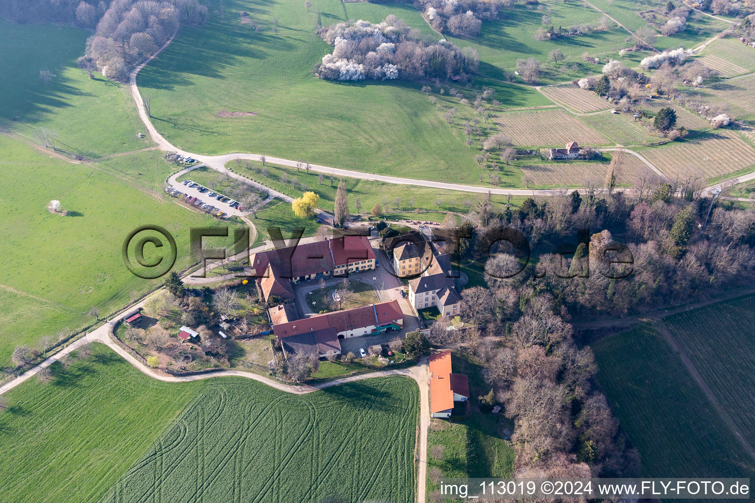 Palace Stiftungsweingut Freiburg Jesuitenschloss in Merzhausen in the state Baden-Wurttemberg, Germany