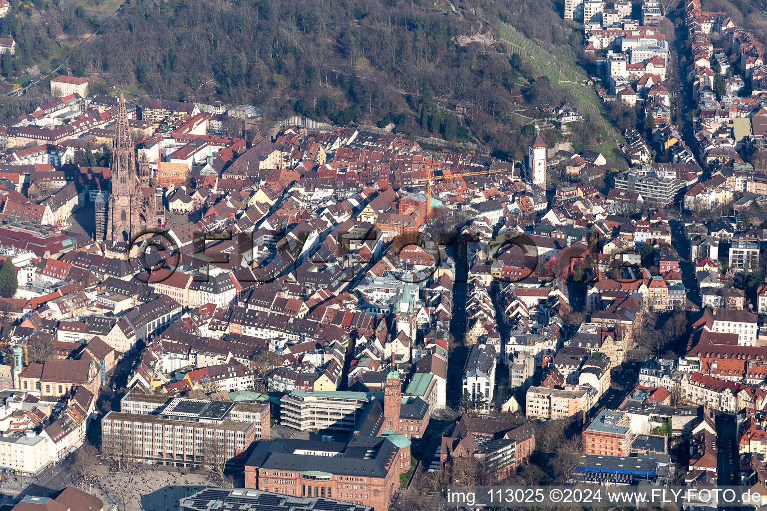 Muenster in the district Altstadt in Freiburg im Breisgau in the state Baden-Wuerttemberg, Germany