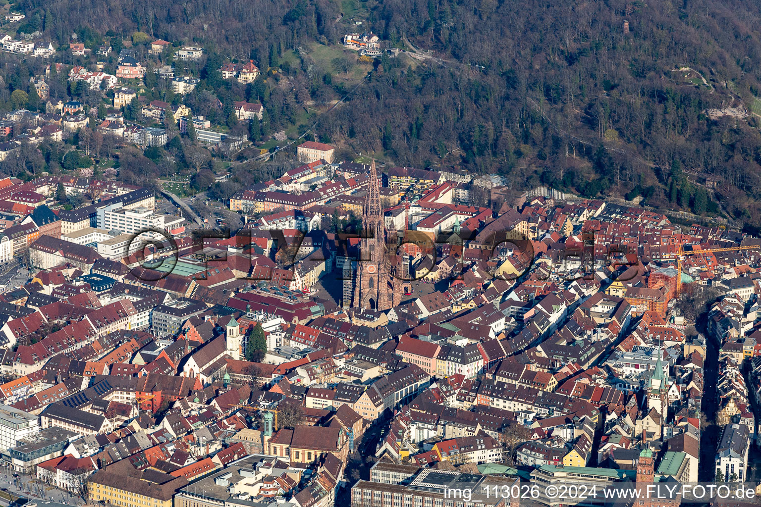 Church building of the cathedral of " Freiburger Muenster " in the district Zentrum in Freiburg im Breisgau in the state Baden-Wurttemberg, Germany