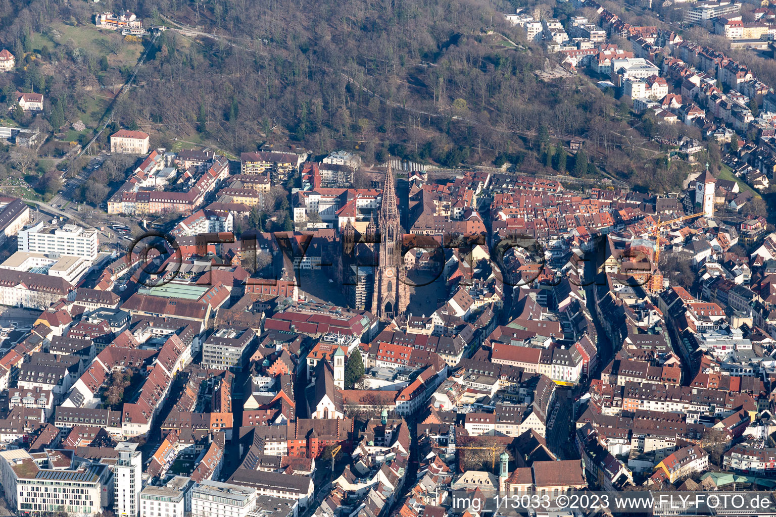 Oblique view of Muenster in the district Altstadt in Freiburg im Breisgau in the state Baden-Wuerttemberg, Germany
