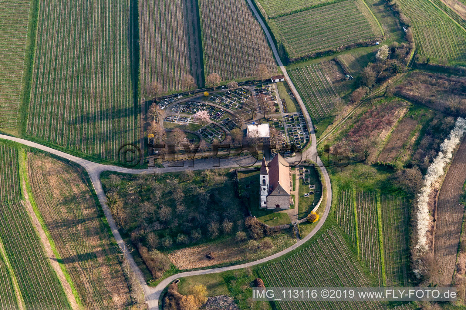 Aerial view of Grave rows on the grounds of the cemetery Bergfriedhof Nimburg bei Teningen in Teningen in the state Baden-Wurttemberg, Germany
