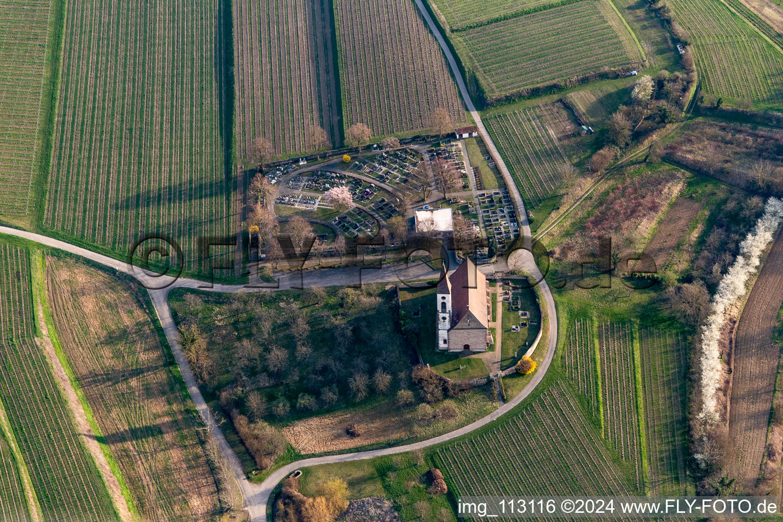 Aerial view of Grave rows on the grounds of the cemetery Bergfriedhof Nimburg bei Teningen in Teningen in the state Baden-Wurttemberg, Germany