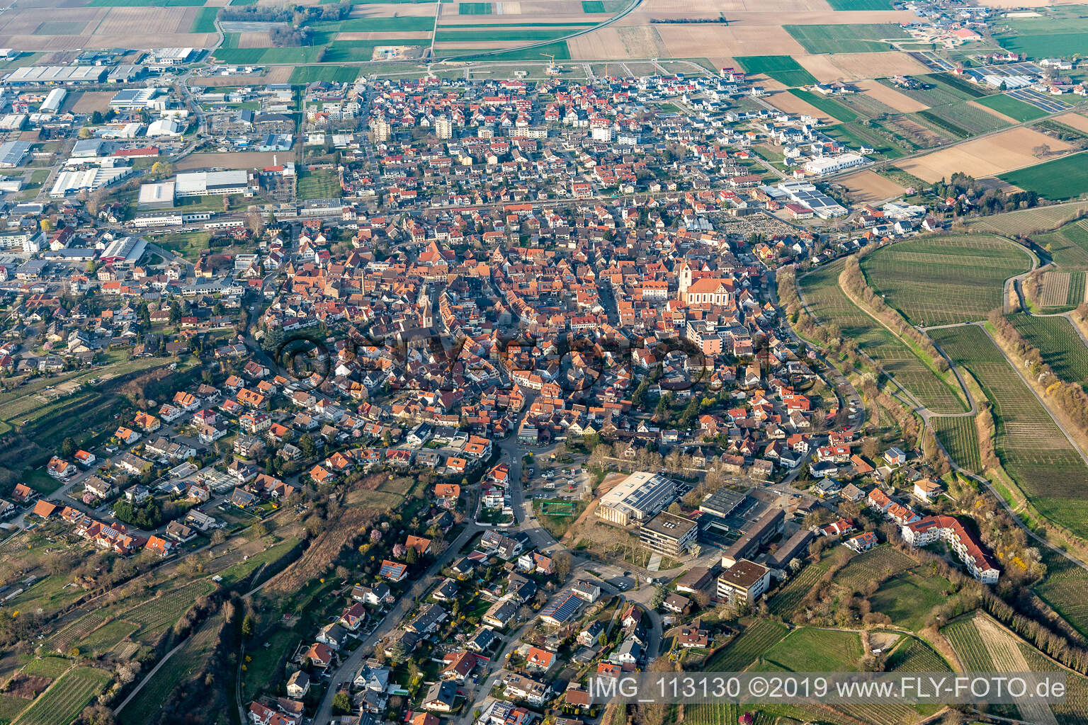 Aerial view of Outskirts residential in Endingen am Kaiserstuhl in the state Baden-Wurttemberg, Germany