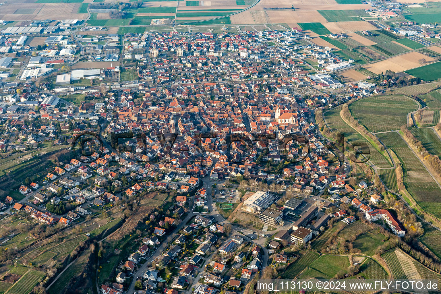 Aerial view of Outskirts residential in Endingen am Kaiserstuhl in the state Baden-Wurttemberg, Germany