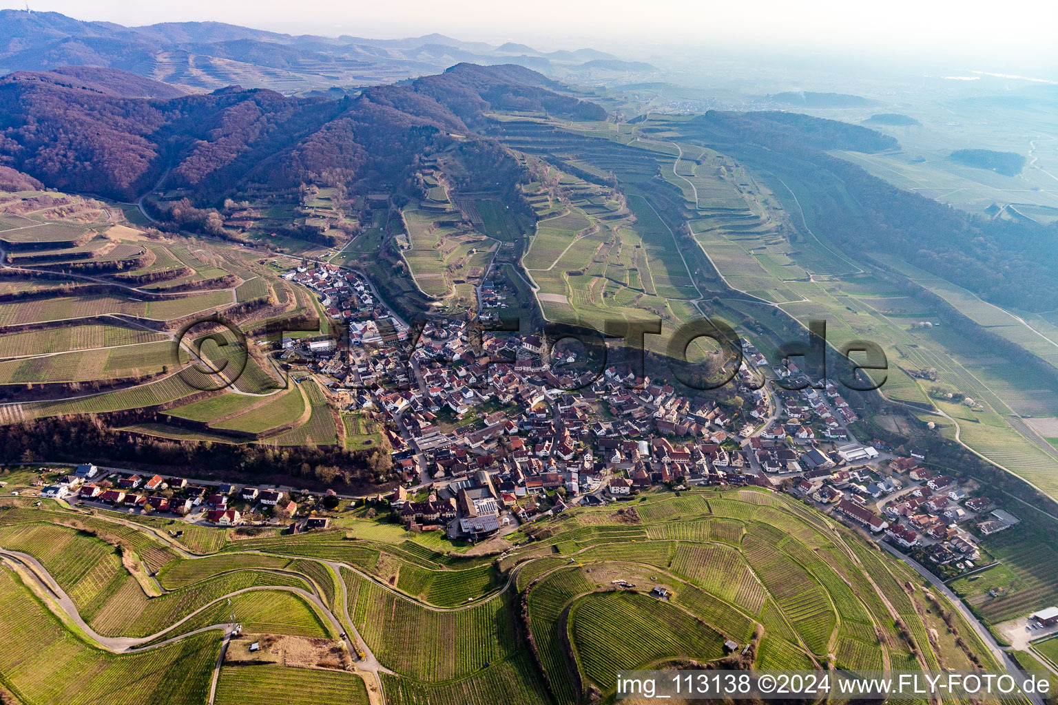 Fields of wine cultivation landscape in Kiechlinsbergen in the state Baden-Wurttemberg, Germany