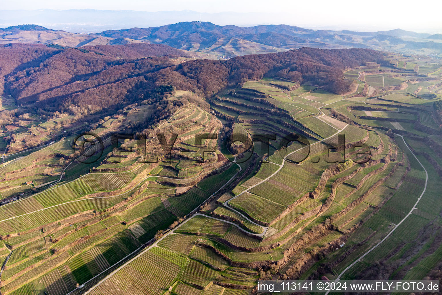 Endingen am Kaiserstuhl in the state Baden-Wuerttemberg, Germany