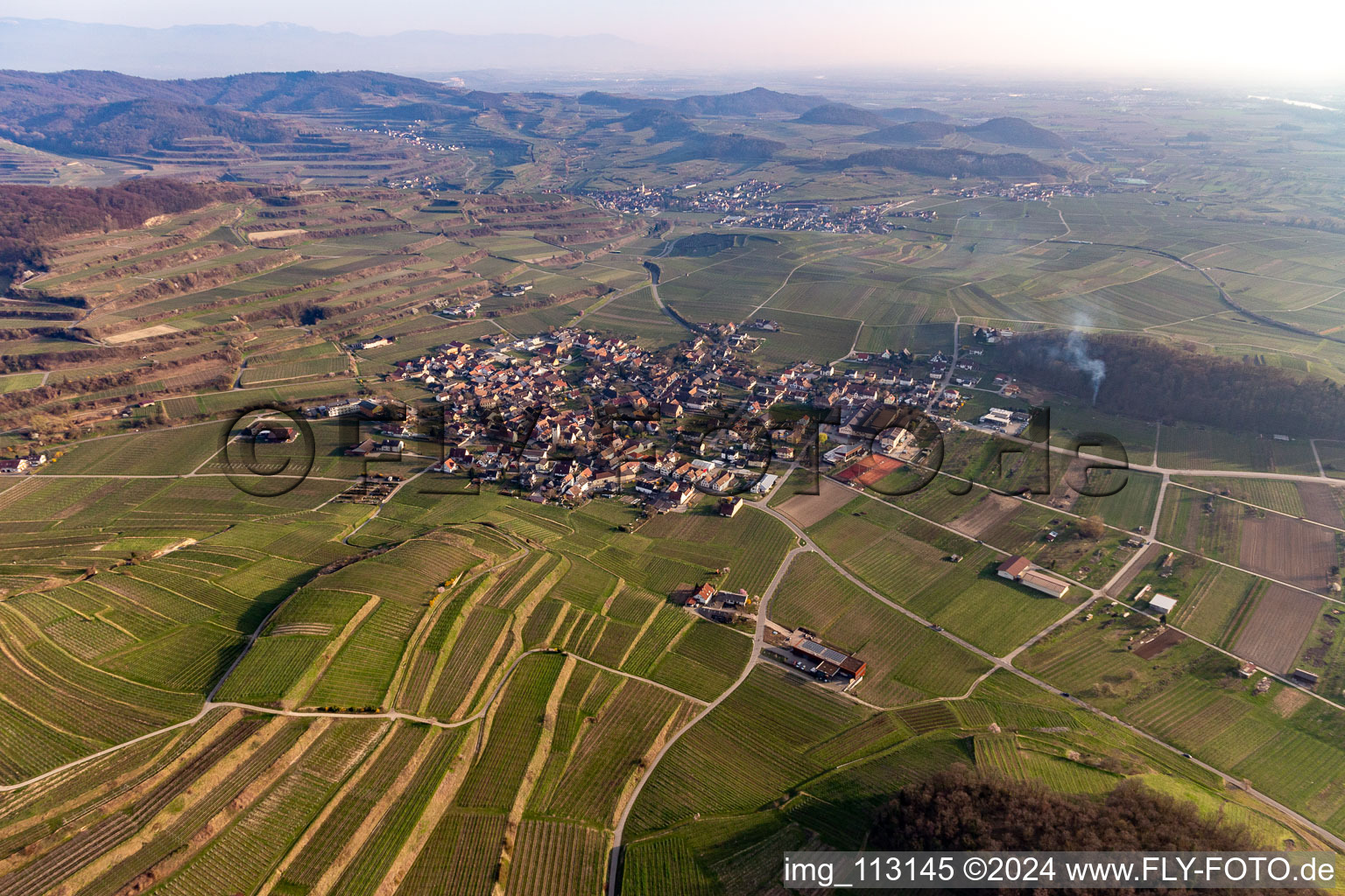 Vogtsburg im Kaiserstuhl in the state Baden-Wuerttemberg, Germany