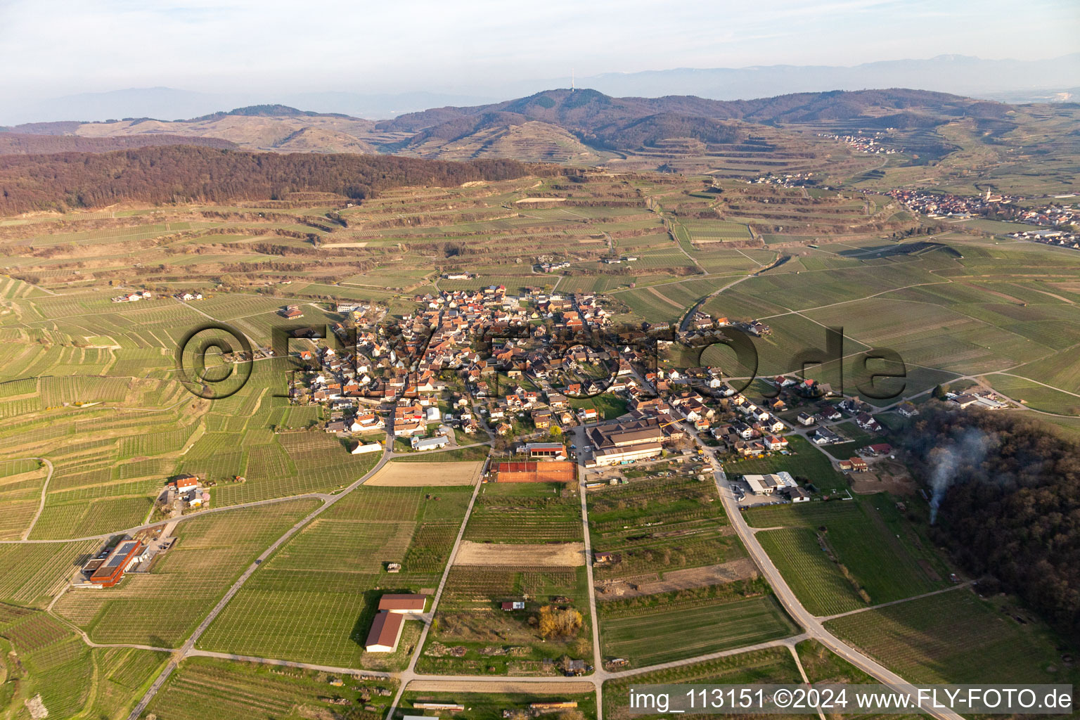 Oblique view of District Bischoffingen in Vogtsburg im Kaiserstuhl in the state Baden-Wuerttemberg, Germany