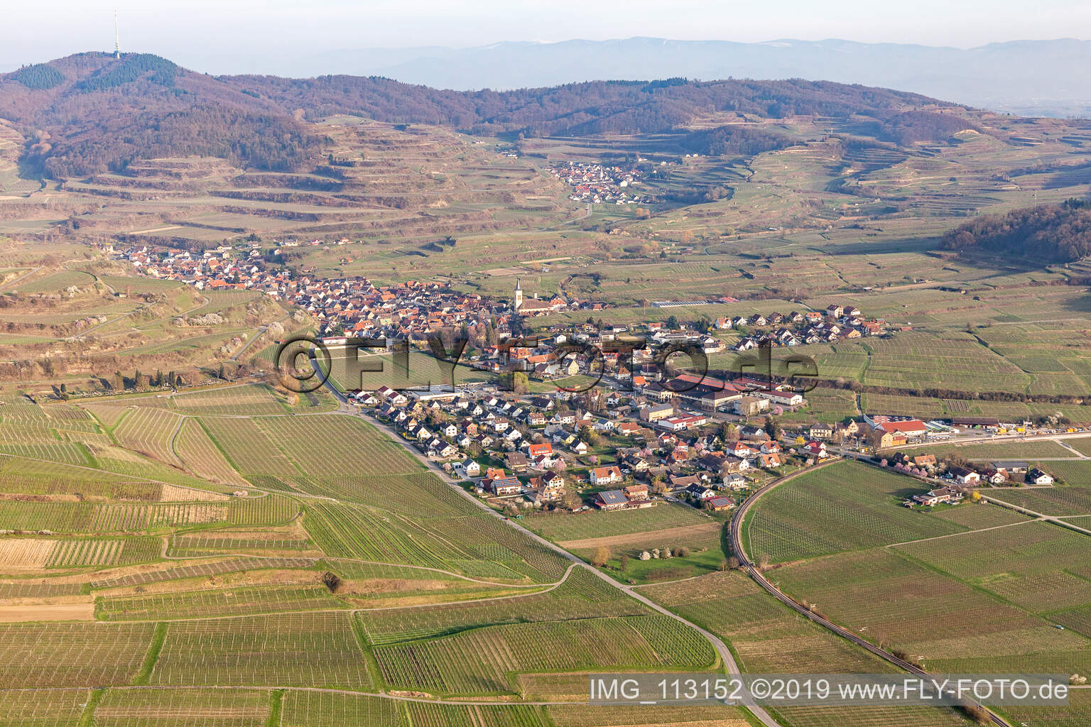 Oblique view of Vogtsburg im Kaiserstuhl in the state Baden-Wuerttemberg, Germany