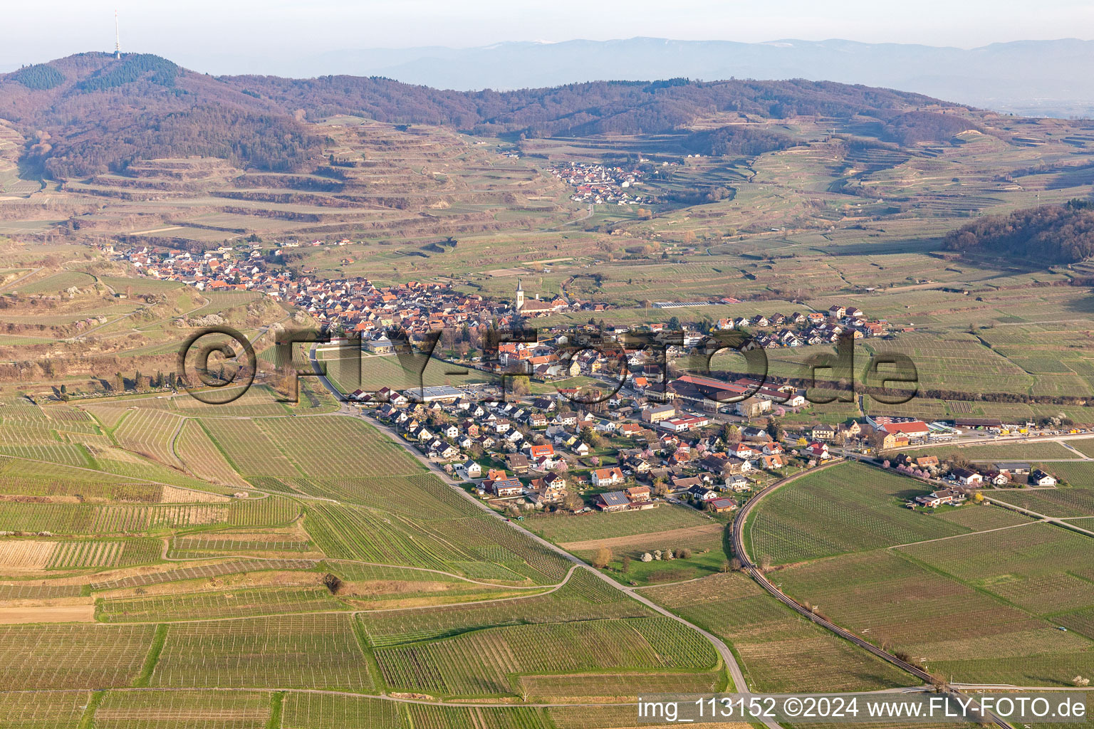 Oblique view of Vogtsburg im Kaiserstuhl in the state Baden-Wuerttemberg, Germany