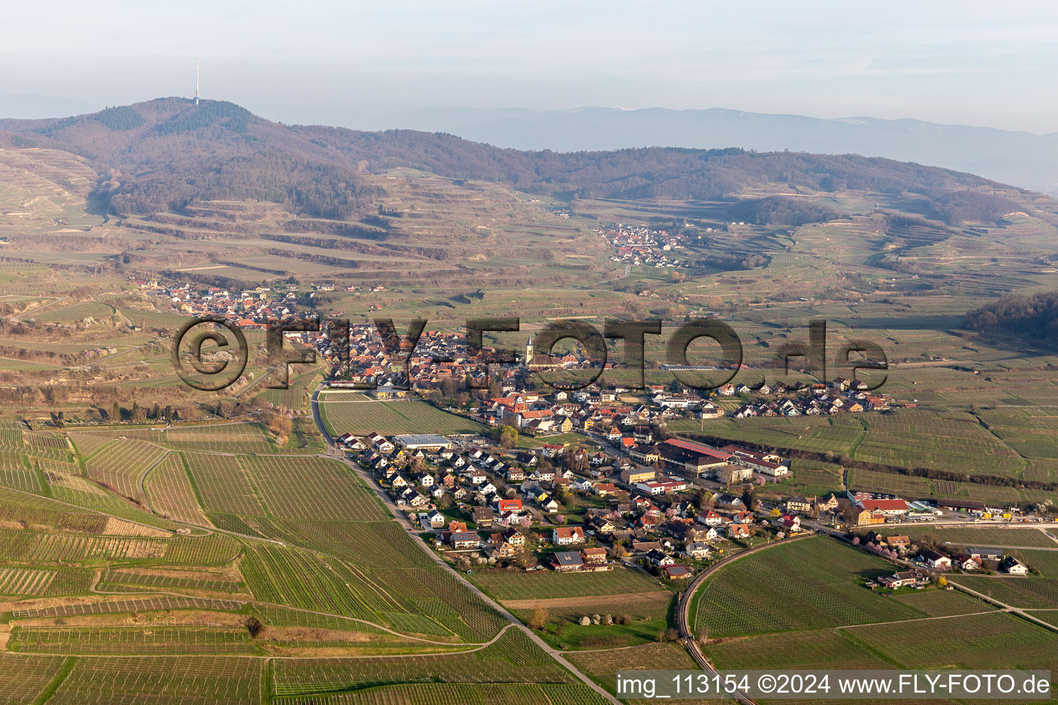 Aerial view of District Oberrotweil in Vogtsburg im Kaiserstuhl in the state Baden-Wuerttemberg, Germany