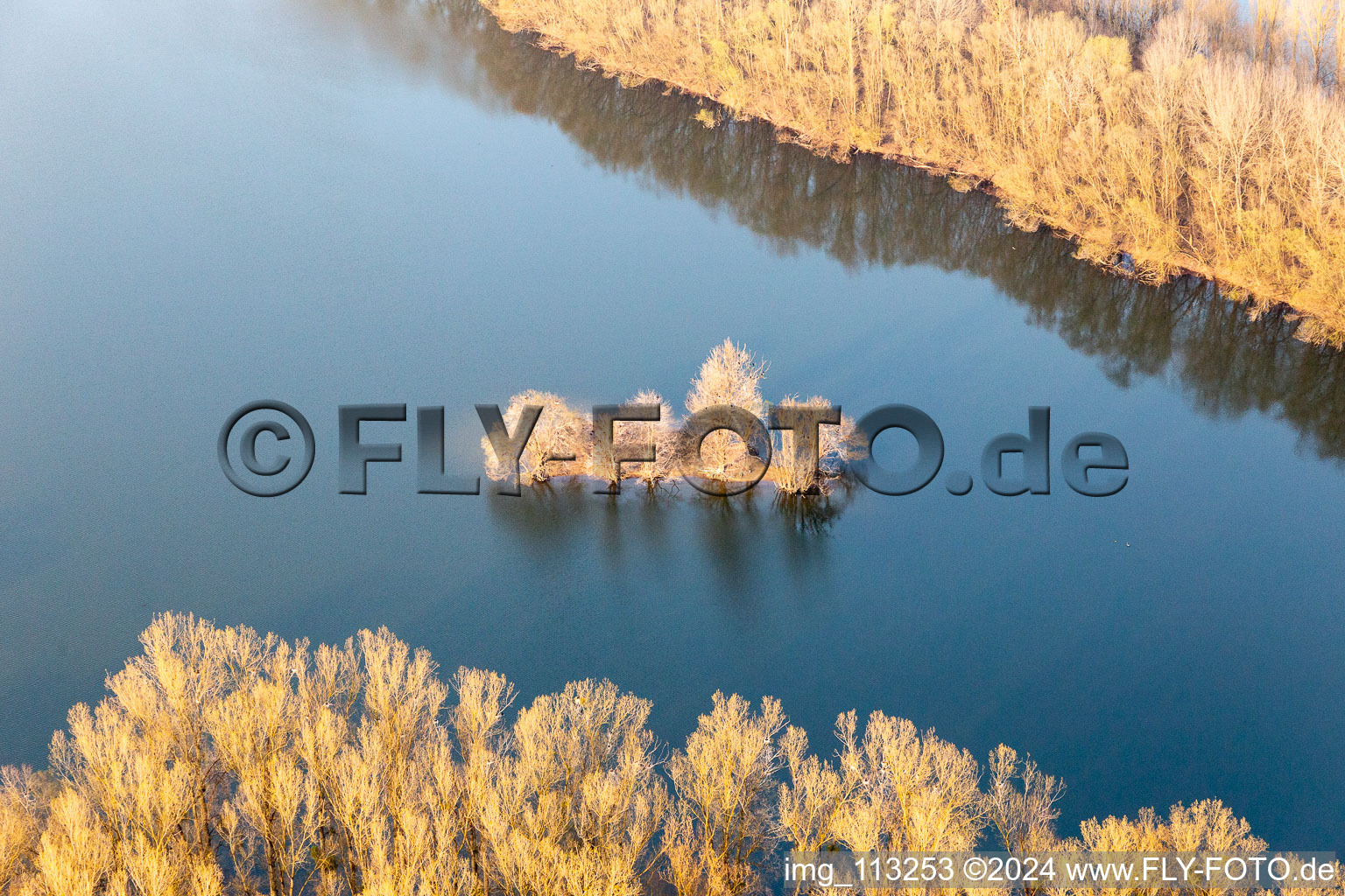 Old Rhine Island in Leimersheim in the state Rhineland-Palatinate, Germany