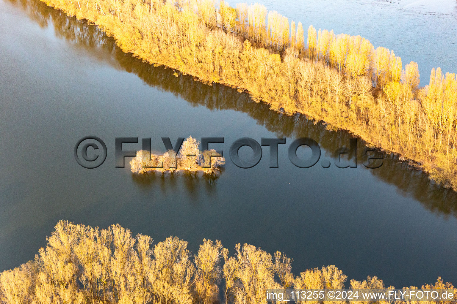 Aerial view of Old Rhine Island in Leimersheim in the state Rhineland-Palatinate, Germany