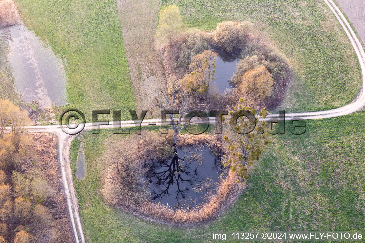 Ponds in a pond landscape in Leimersheim in the state Rhineland-Palatinate, Germany