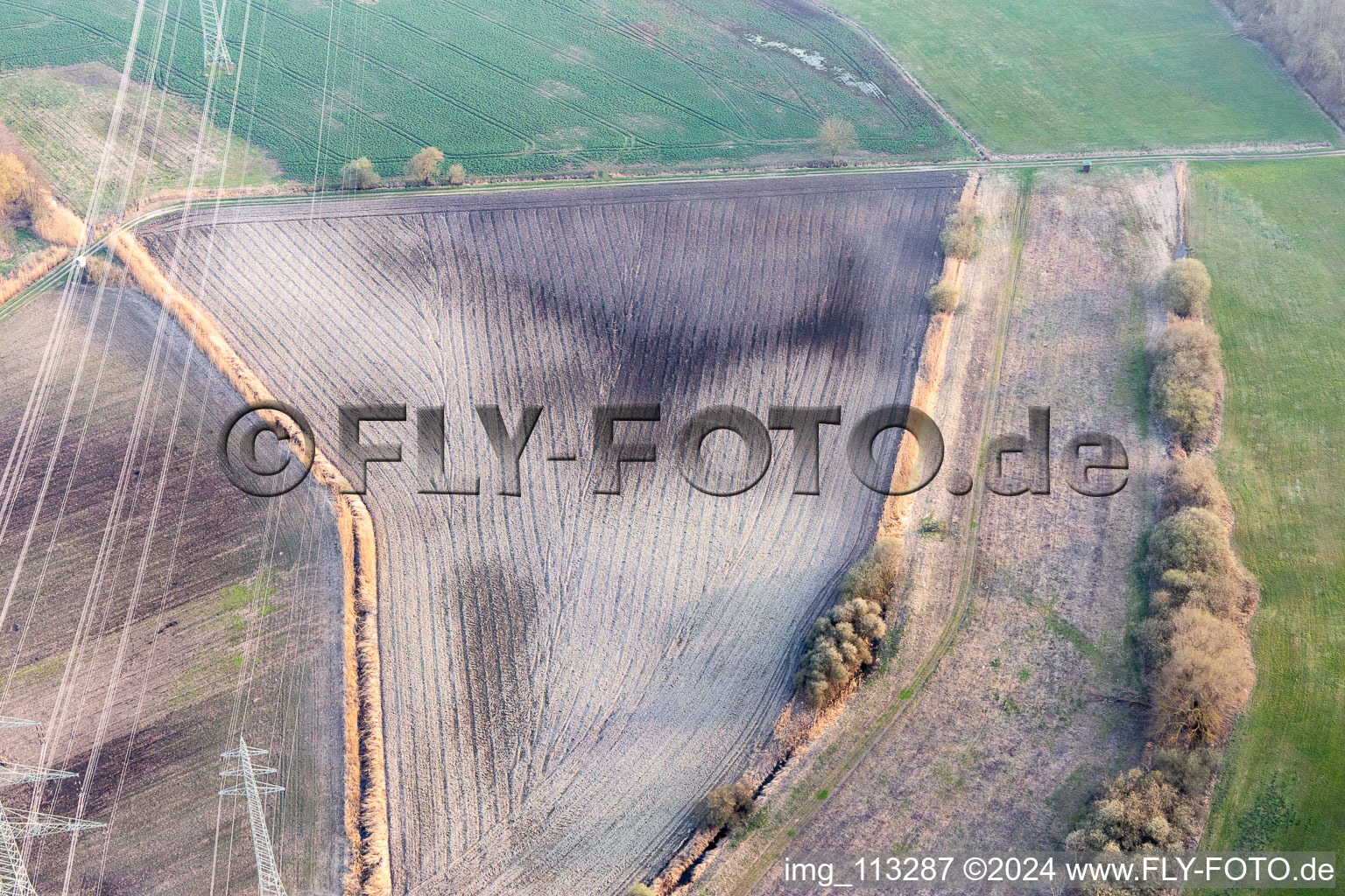 Drone image of Leimersheim in the state Rhineland-Palatinate, Germany