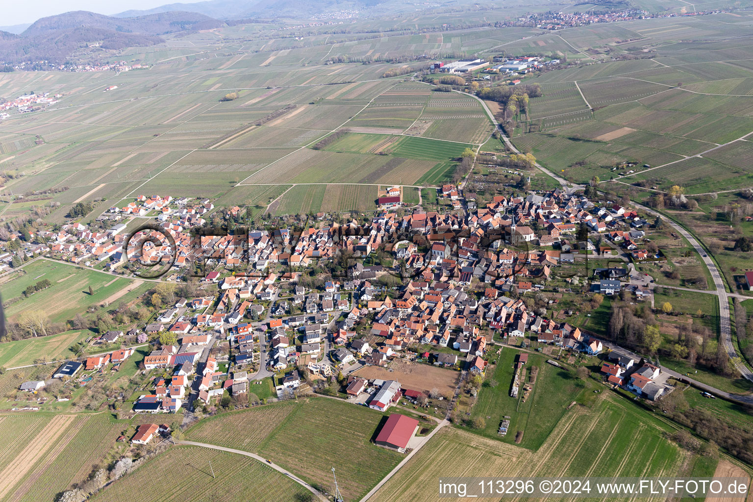 Bird's eye view of Göcklingen in the state Rhineland-Palatinate, Germany