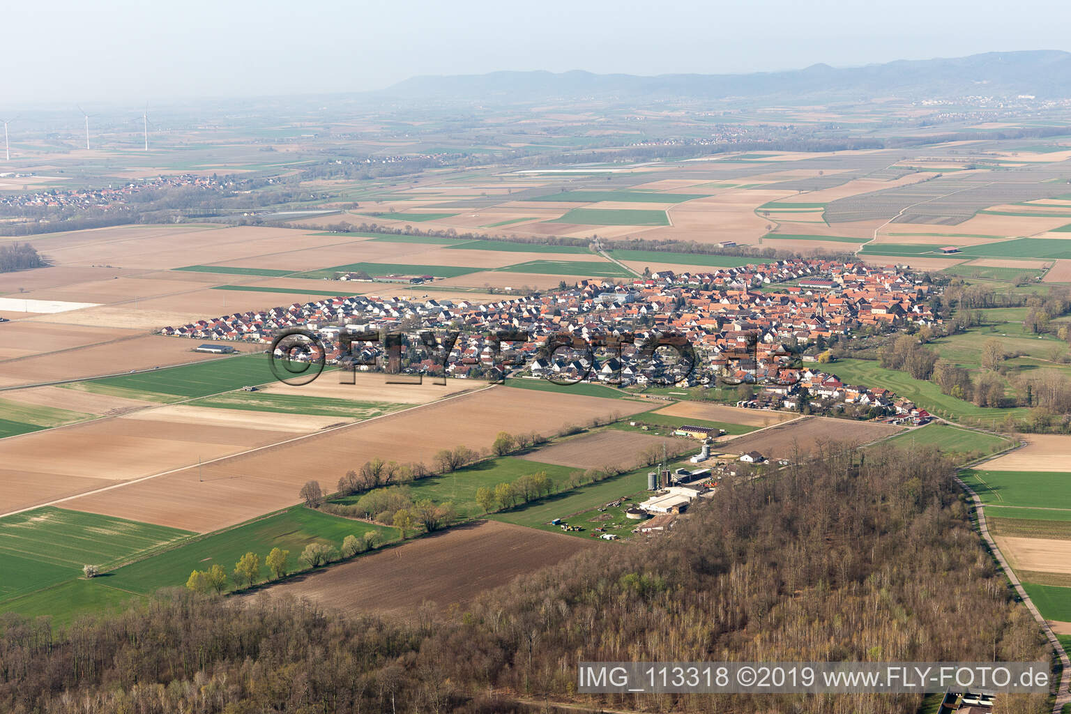 Aerial view of Steinweiler in the state Rhineland-Palatinate, Germany