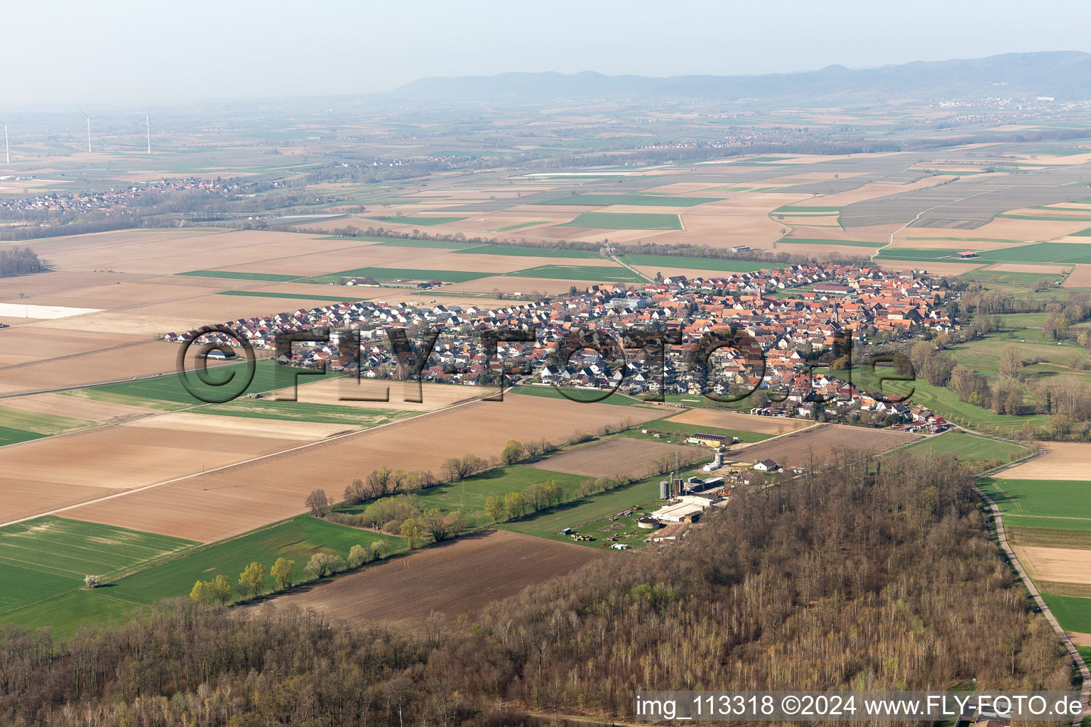 Aerial view of Steinweiler in the state Rhineland-Palatinate, Germany