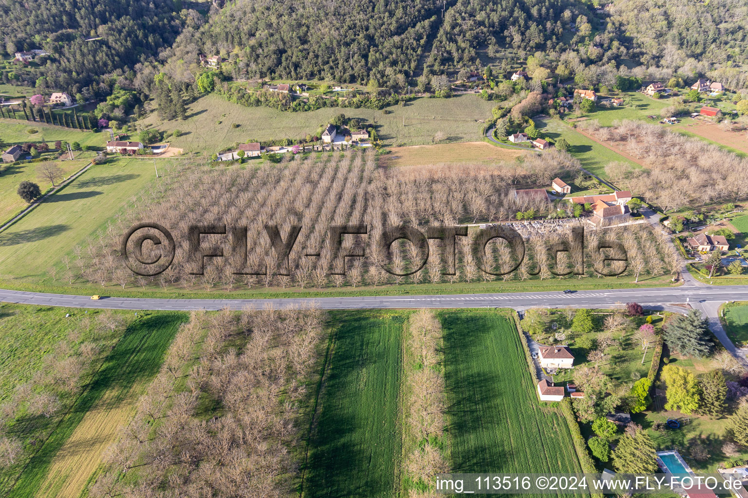 Walnut plantations in Saint-Vincent-de-Cosse in the state Dordogne, France