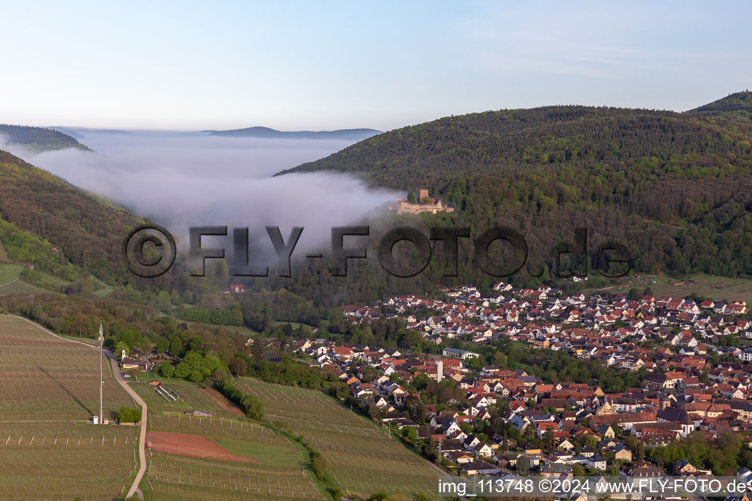 Aerial view of Landeck Castle in the morning mist in Klingenmünster in the state Rhineland-Palatinate, Germany