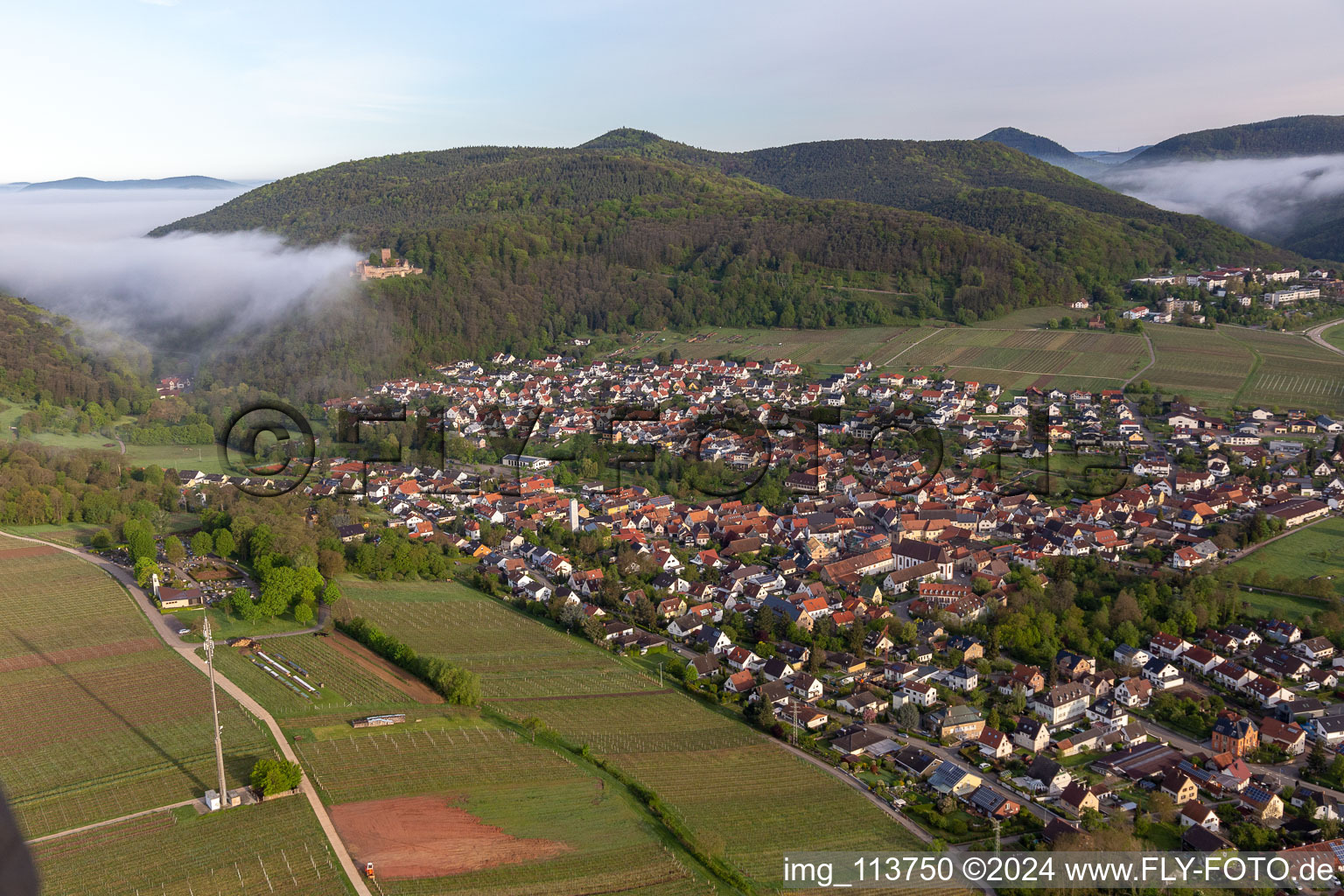 Oblique view of Landeck Castle in the morning mist in Klingenmünster in the state Rhineland-Palatinate, Germany