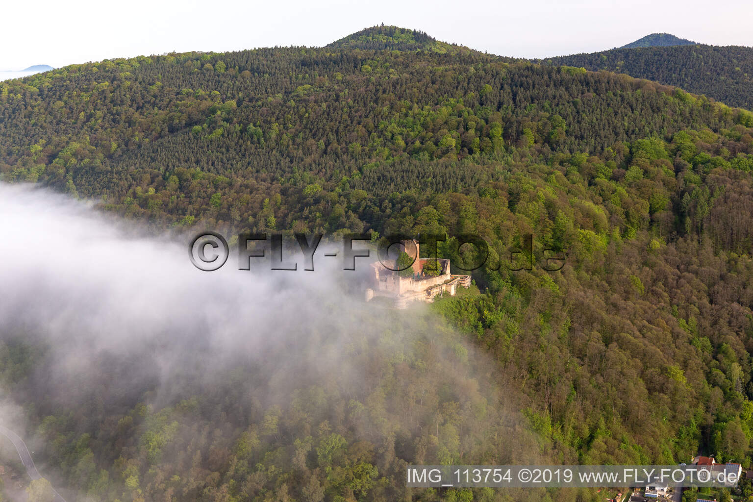 Landeck Castle in the morning fog in Klingenmünster in the state Rhineland-Palatinate, Germany out of the air