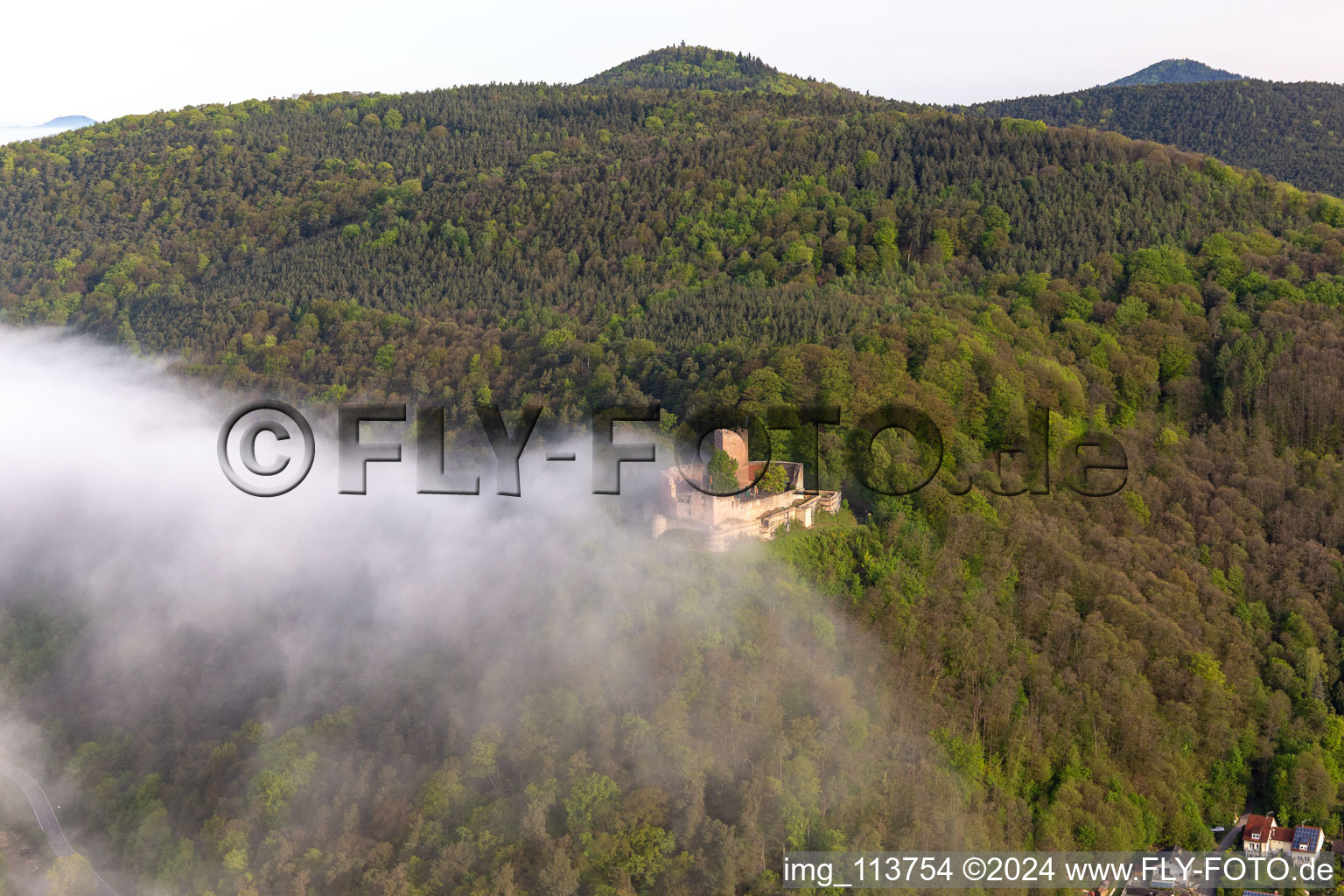 Landeck Castle in the morning mist in Klingenmünster in the state Rhineland-Palatinate, Germany out of the air