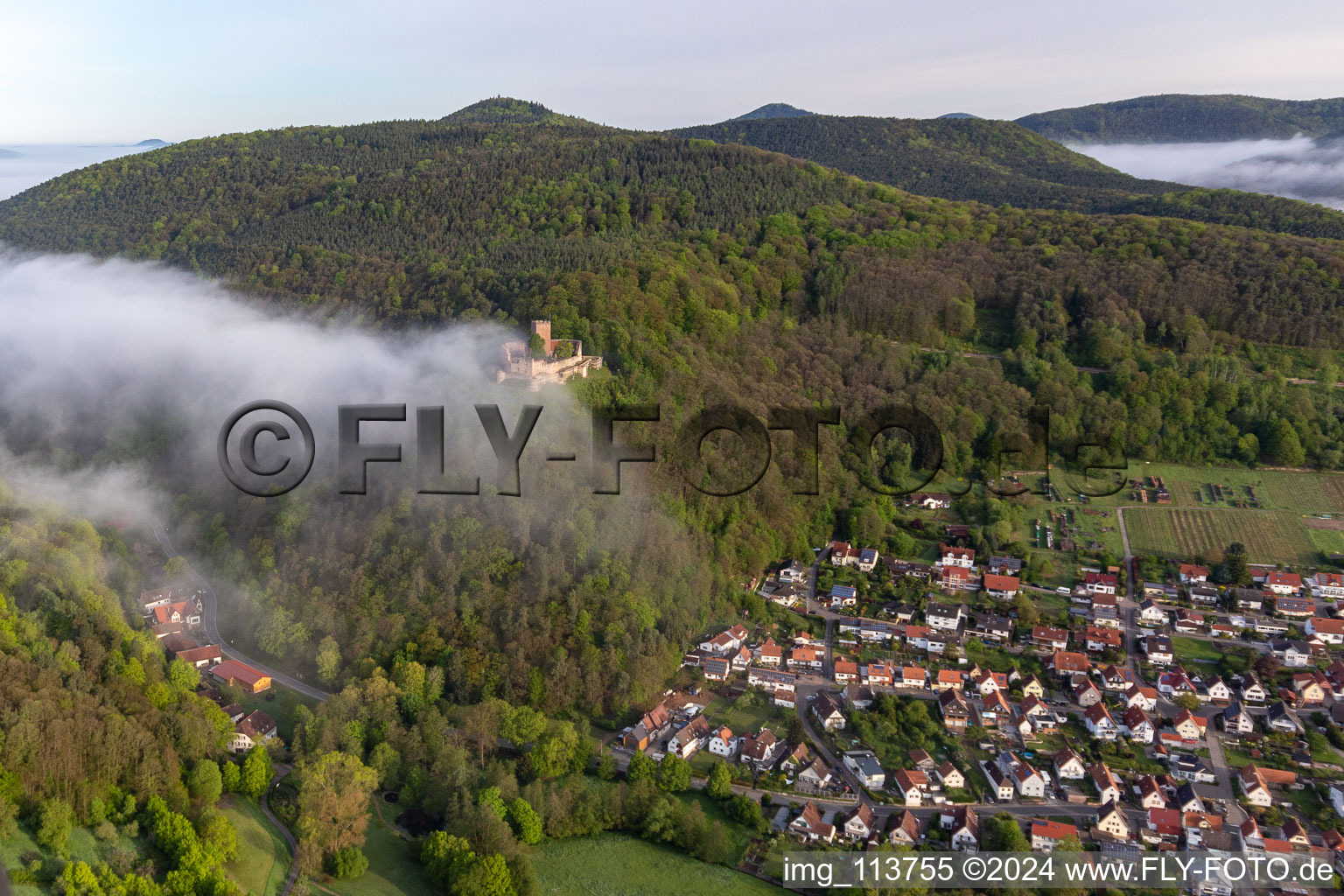 Ruins of the former fortress Burg Landeck in morning mist in Klingenmuenster in the state Rhineland-Palatinate, Germany