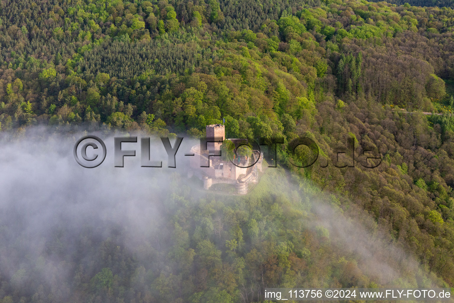 Landeck Castle in the morning mist in Klingenmünster in the state Rhineland-Palatinate, Germany seen from above