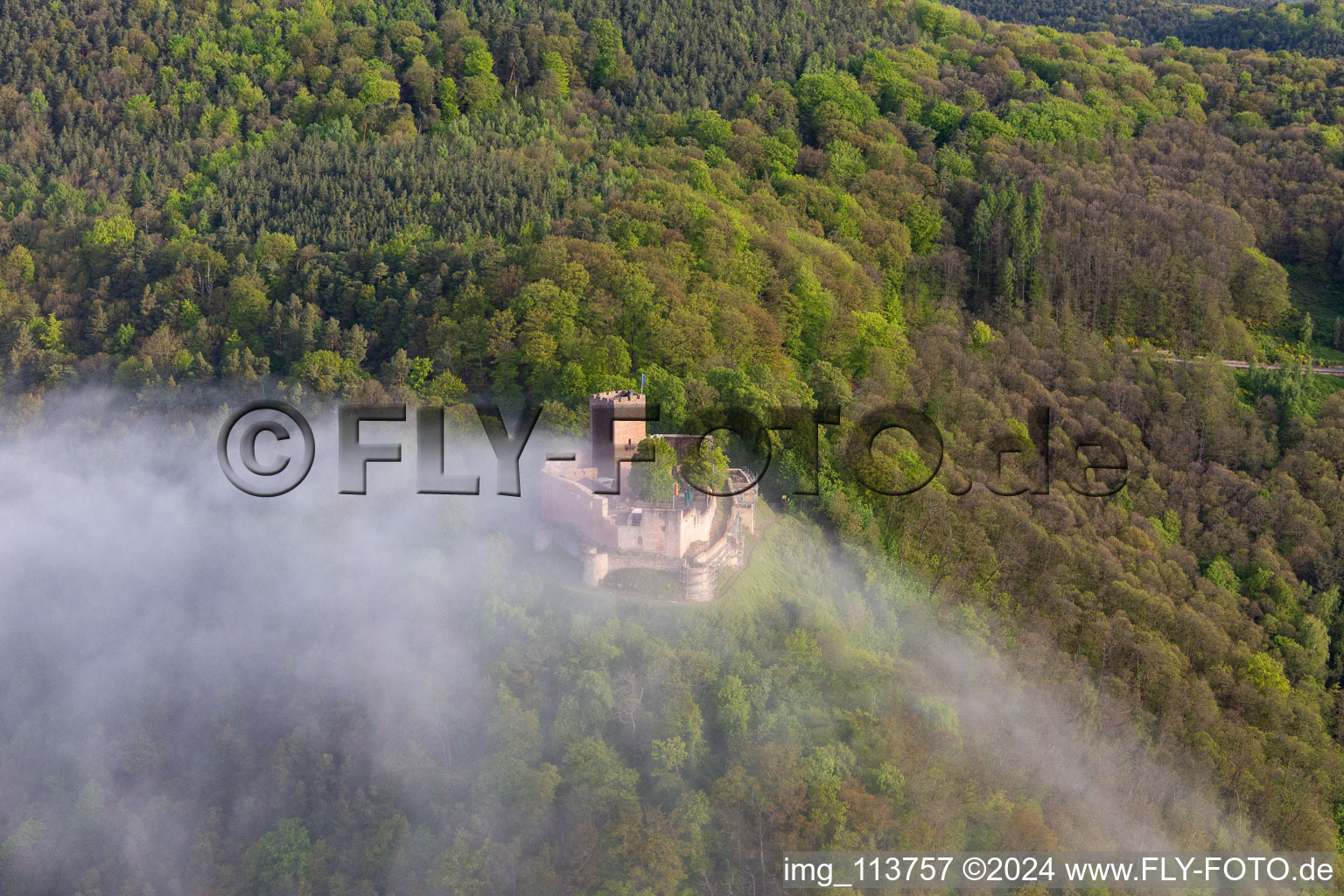 Landeck Castle in the morning mist in Klingenmünster in the state Rhineland-Palatinate, Germany from the plane