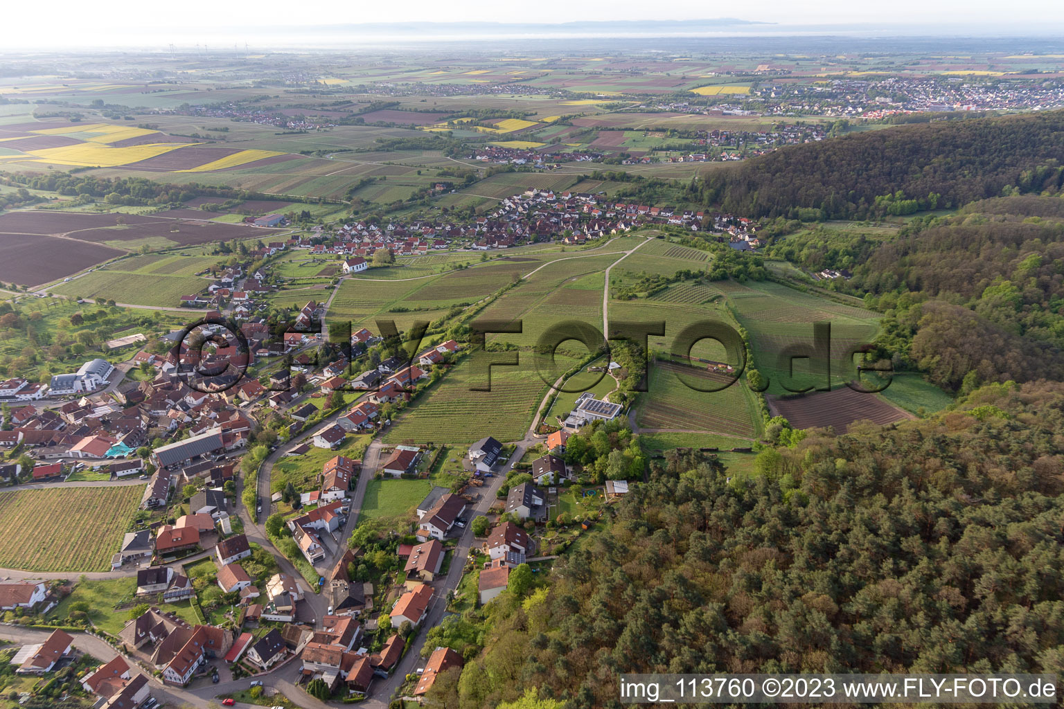 District Gleiszellen in Gleiszellen-Gleishorbach in the state Rhineland-Palatinate, Germany from above
