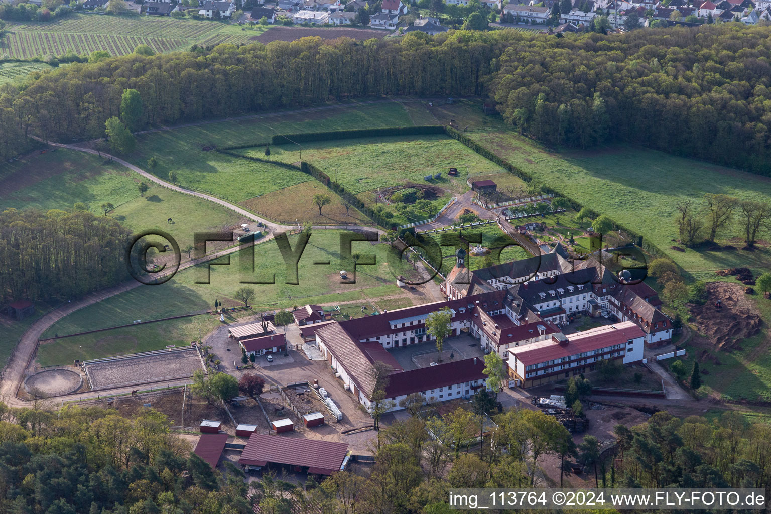 Bird's eye view of Bad Bergzabern in the state Rhineland-Palatinate, Germany