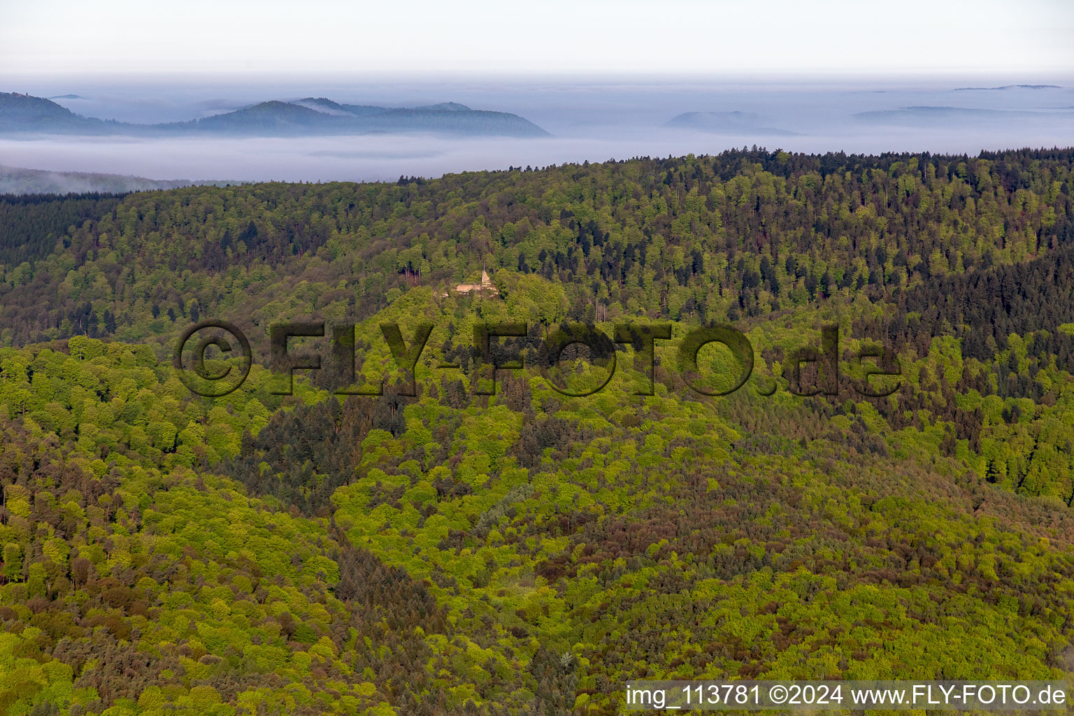 Aerial view of Guttenberg Castle Ruins in Oberotterbach in the state Rhineland-Palatinate, Germany