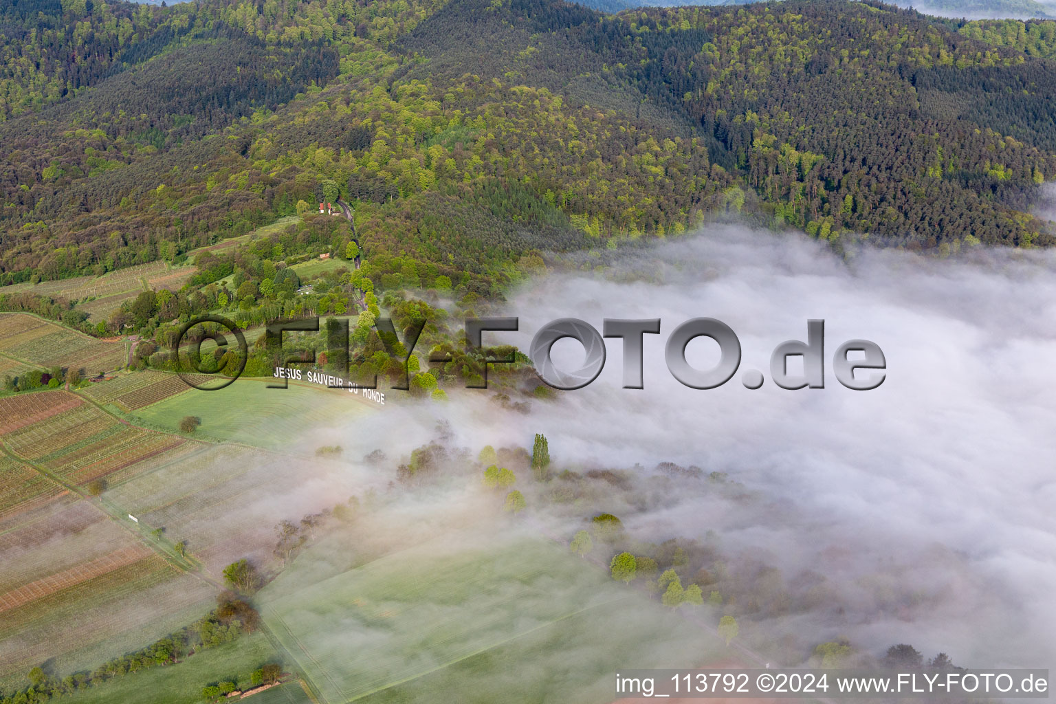 Aerial view of Jesus Saveur du Monde, Hannesacker in Rott in the state Bas-Rhin, France