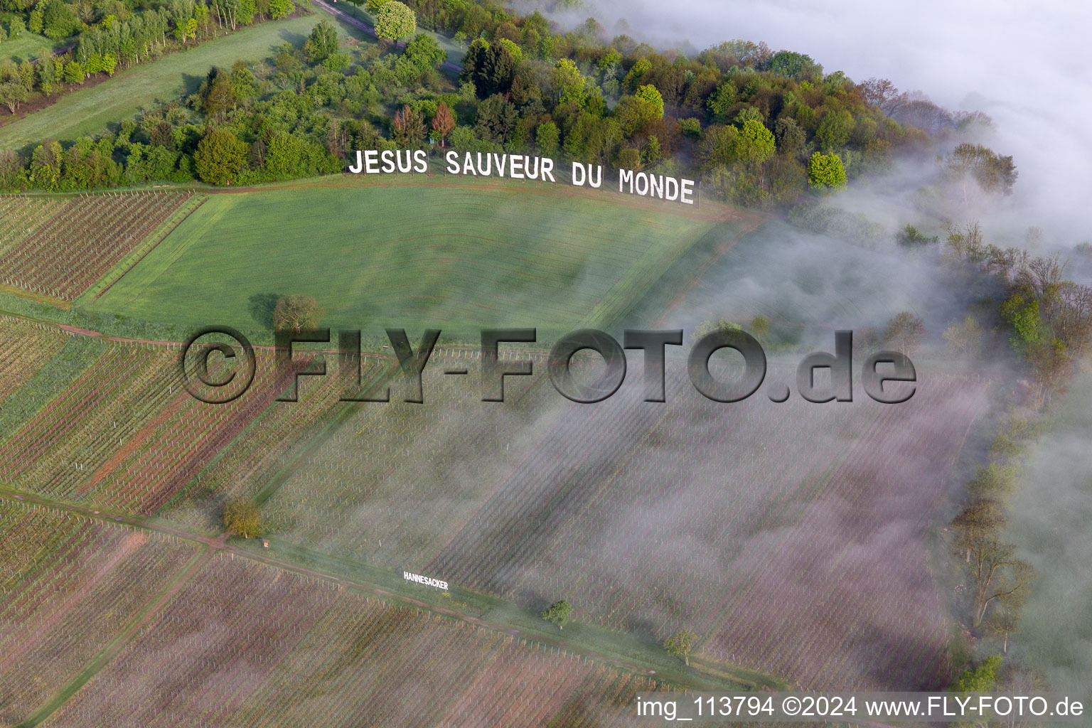 Aerial photograpy of Jesus Saveur du Monde, Hannesacker in Rott in the state Bas-Rhin, France