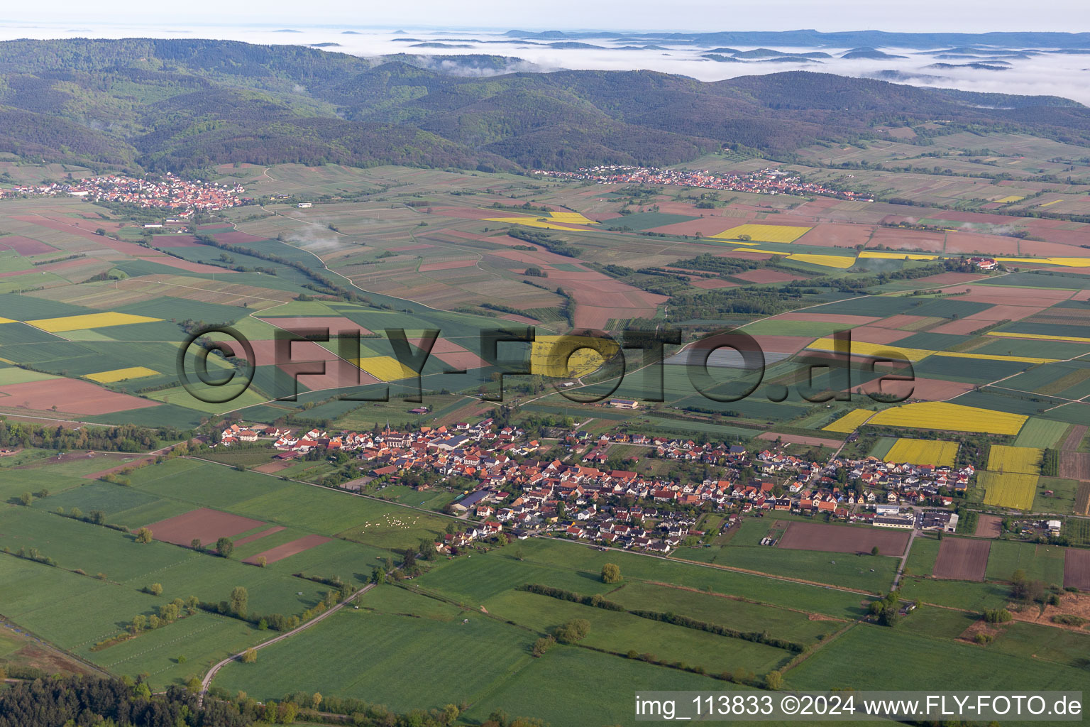 Schweighofen in the state Rhineland-Palatinate, Germany out of the air