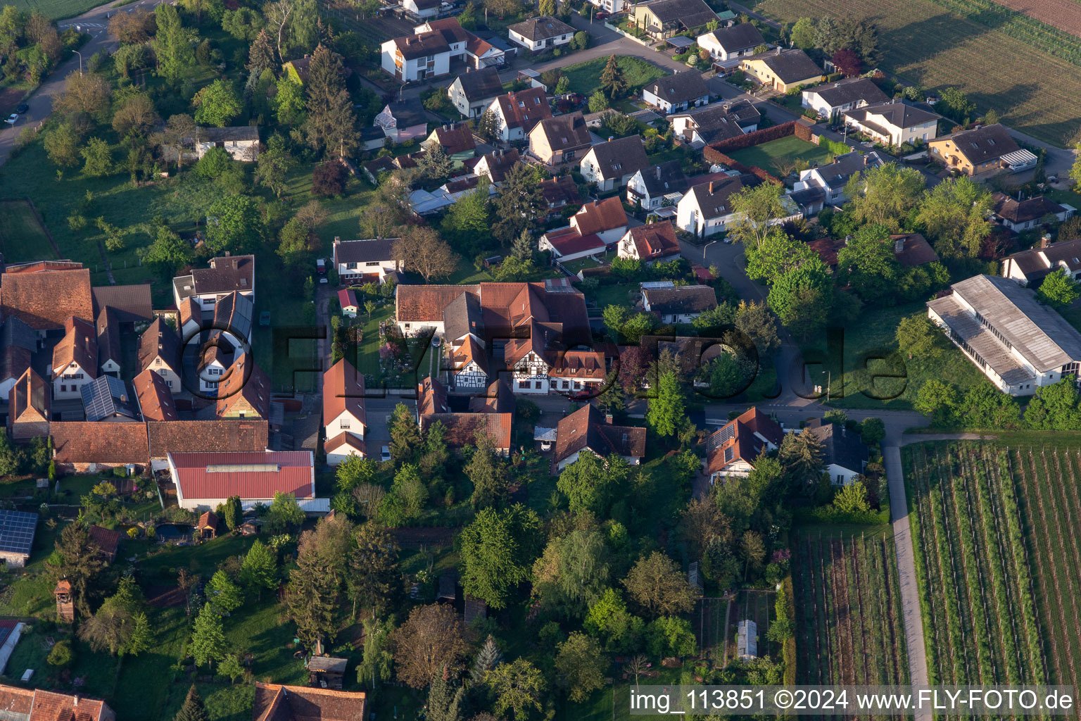 Vogler winery and wine bar in the district Heuchelheim in Heuchelheim-Klingen in the state Rhineland-Palatinate, Germany