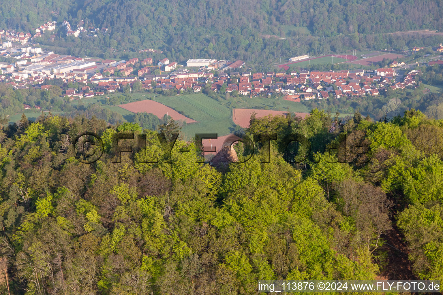 Hohenberg Tower in Birkweiler in the state Rhineland-Palatinate, Germany