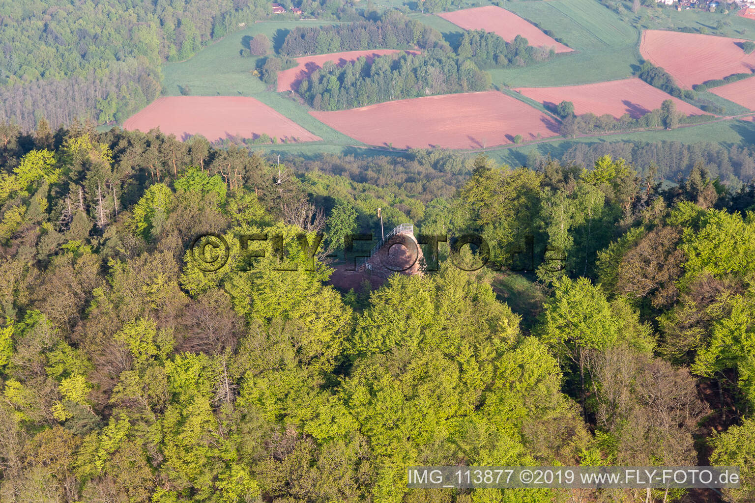 Aerial view of Hohenberg Tower in Birkweiler in the state Rhineland-Palatinate, Germany