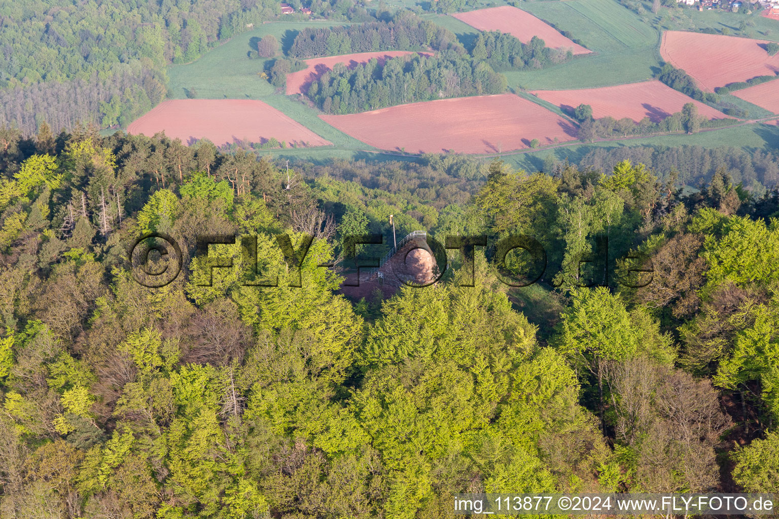 Aerial view of Hohenberg Tower in Birkweiler in the state Rhineland-Palatinate, Germany