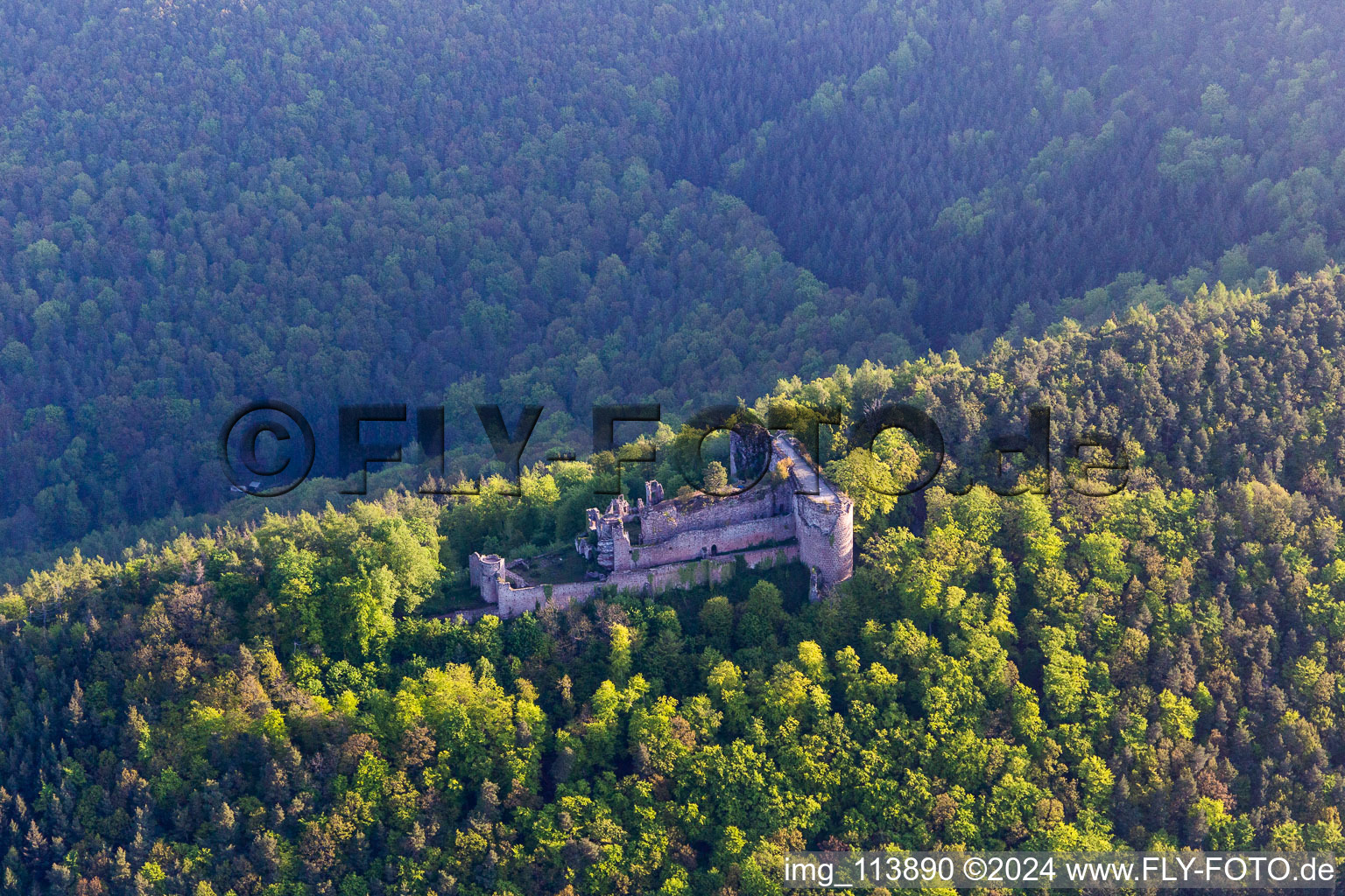 Neuscharfeneck Castle Ruins in Flemlingen in the state Rhineland-Palatinate, Germany