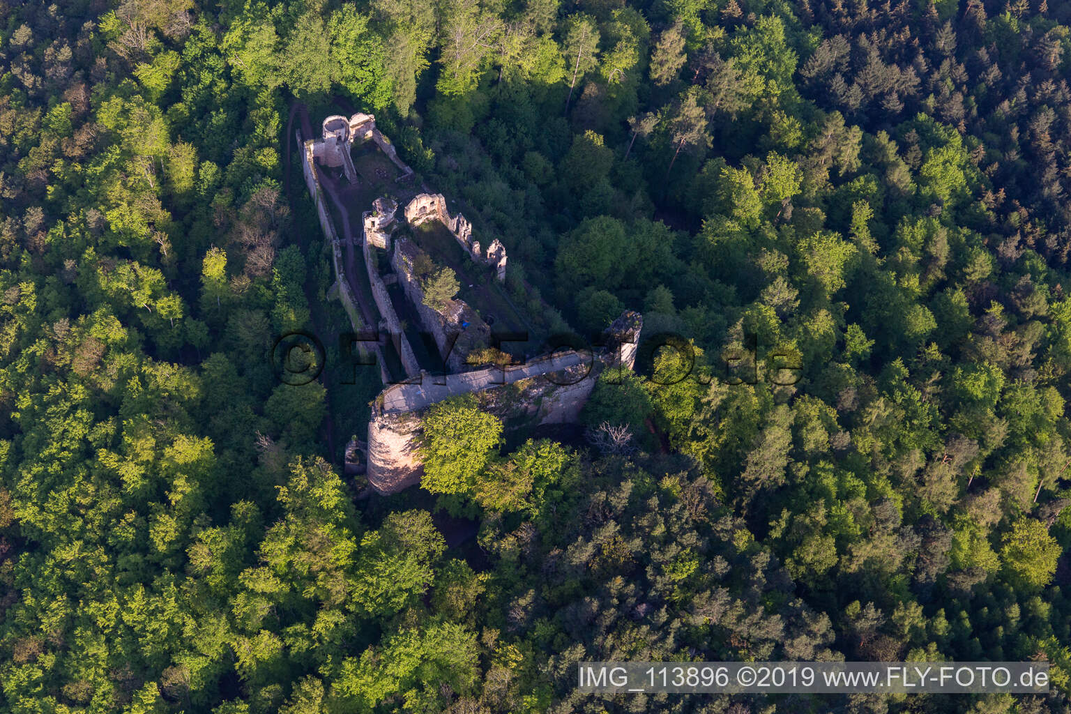 Aerial view of Neuscharfeneck castle ruins in Flemlingen in the state Rhineland-Palatinate, Germany
