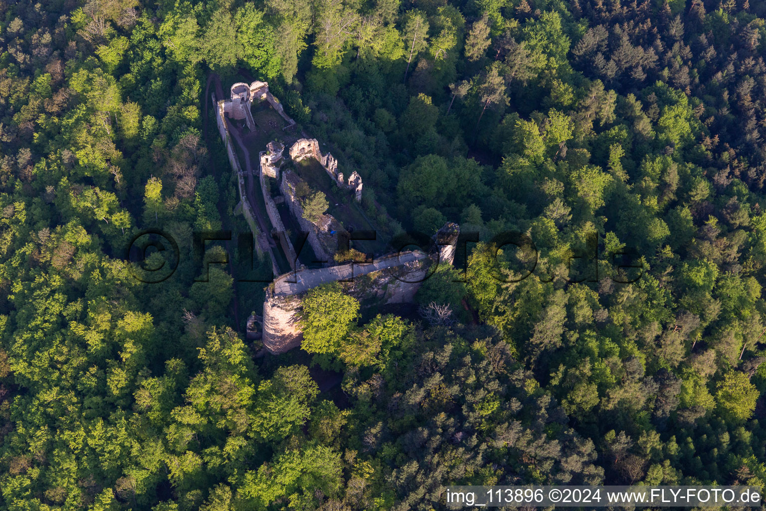 Aerial view of Neuscharfeneck castle ruins in Flemlingen in the state Rhineland-Palatinate, Germany