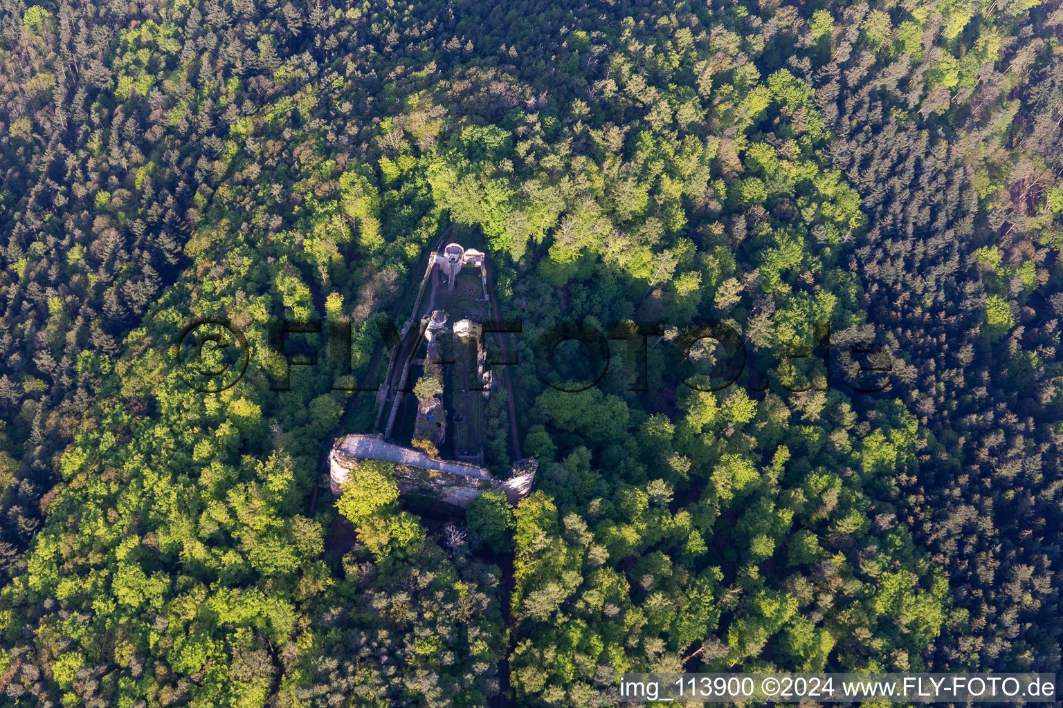 Aerial photograpy of Neuscharfeneck Castle Ruins in Flemlingen in the state Rhineland-Palatinate, Germany